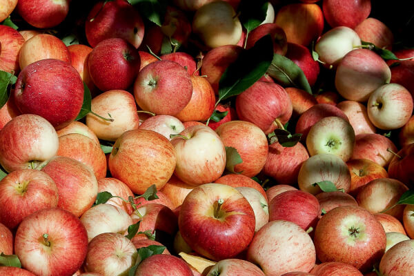 5 ANTIBACTERIAL APPLE CIDER VINEGAR USES