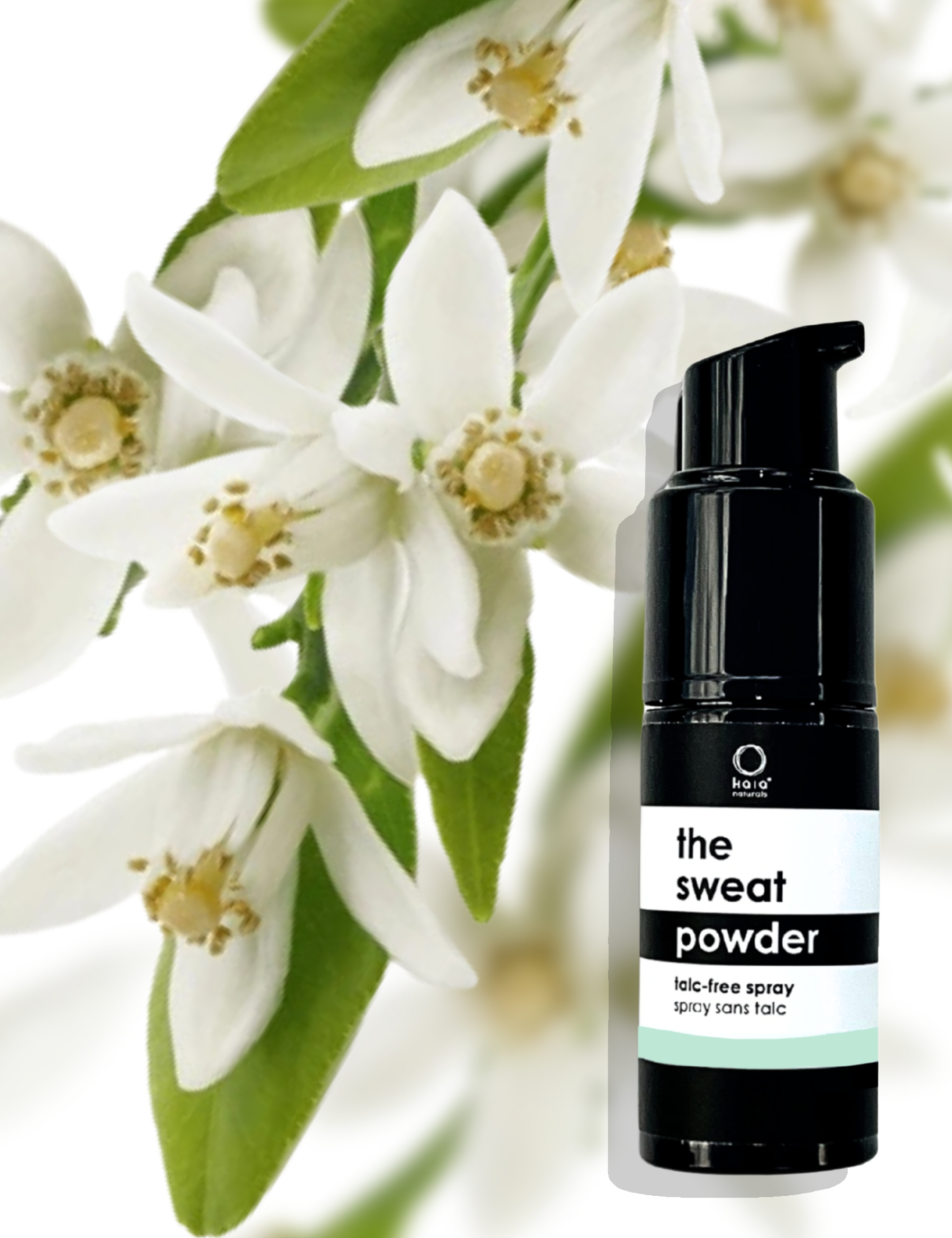 THE SWEAT POWDER