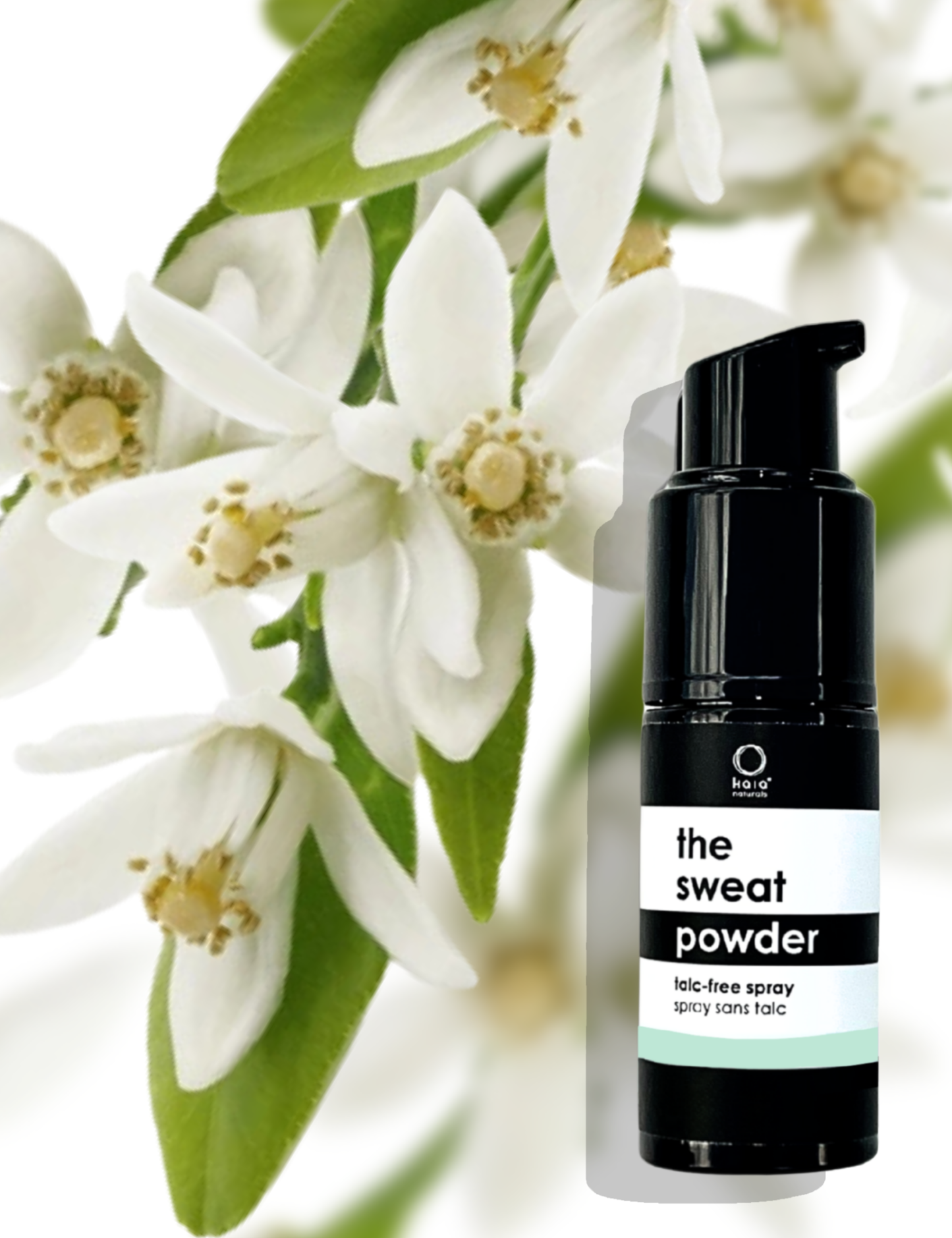 THE SWEAT POWDER